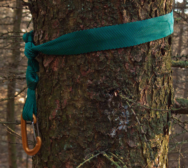 A wide webbing strap prevents the damage to the tree that a thin cord supporting the hammock would do. -  2017 - Gary Waidson - Ravenlore