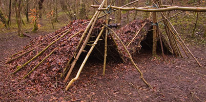 Debris shelters are a simple but time consuming way of creating shelters in woodland. Such shelters should always be dismantled after use. -  2017 - Gary Waidson - Ravenlore
