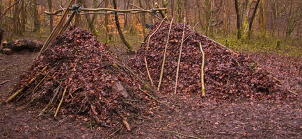 Although debris shelters can be created with natural materials, they are not a low impact approach to camping. Such shelters should always be dismantled after use. -  2017 - Gary Waidson - Ravenlore